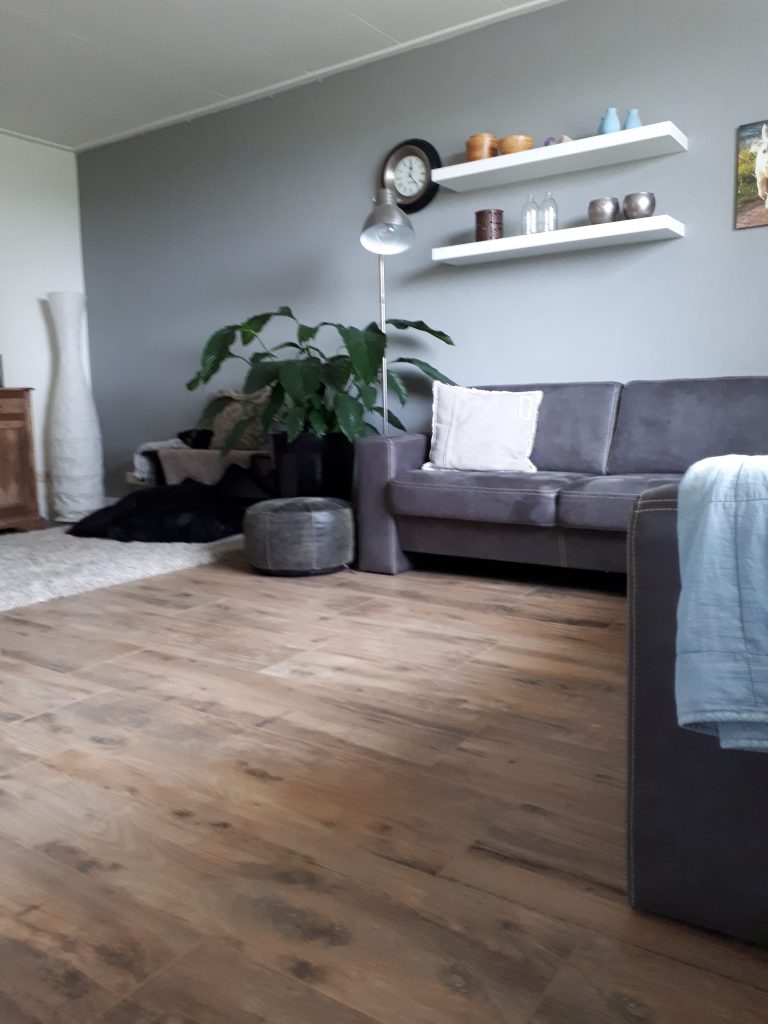 Landelijke woning met keramisch hout in de woonkamer en toilet